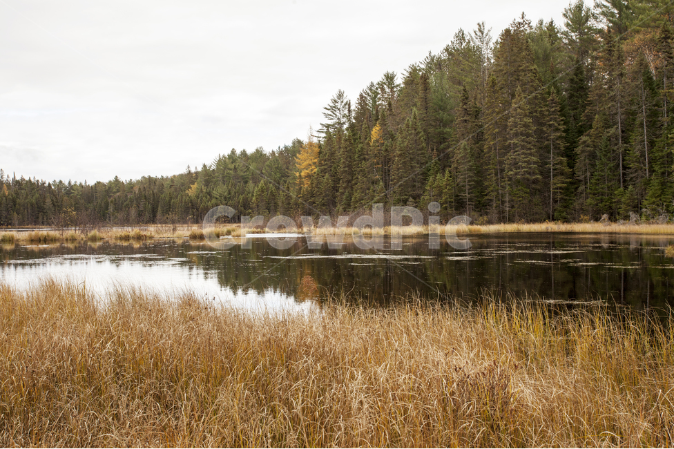 캐나다,알곤퀸,공원,단풍,호수,국립공원,단풍나무,옥외,outdoors,nature,자연,water,물,canada,무스코카,muskoka