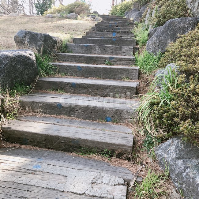 나무계단,계단,산책,자연,나무,돌,woodenfloor,stairs,walk,nature,wood,stone
