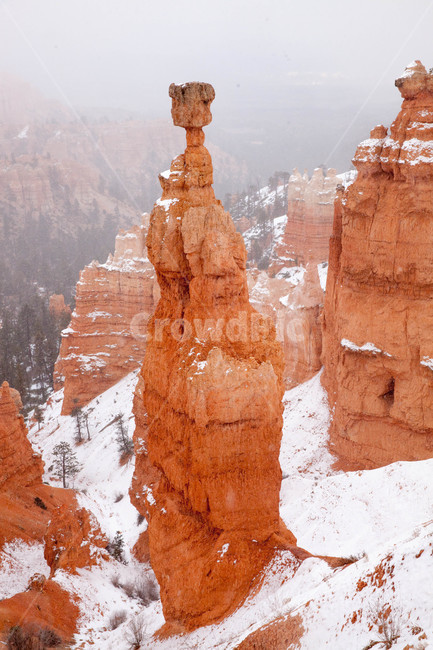 자연,산,mountain,기암,미국,캐년,미국인,협곡,bryce,랜드마크,겨울,계절,winter,season,자연,풍경,nature,landscape