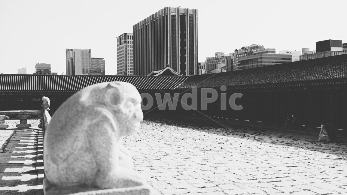 중심지,건물,도시,경복궁,문화재