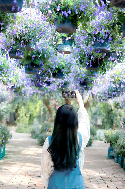 여자,뒷모습,꽃,스냅,스냅사진,감성,감성사진,보라,바이올렛,사람,식물,자연,plants,nature,꽃,flower,사람,인물,인간,human,person,여성,여자,woman,female,lady,사진작가,포토그래퍼,photographer,감성,sensible,feeling