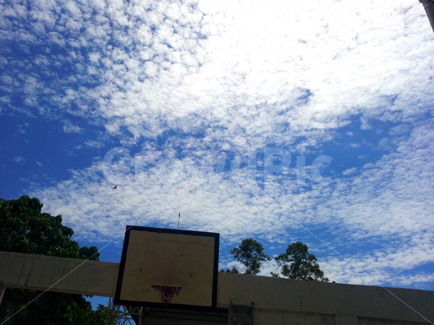 필리핀,어학원,하늘,구름,농구,농구골대,골대,나무,여름,philippines,sky,clouds,basketball,basket,trees,스포츠,레저,운동,sports,leisure,exercise