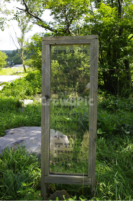 하늘,구름,식물,plant,자연,풍경,여름,초록,나무,자연,풍경,nature,landscape