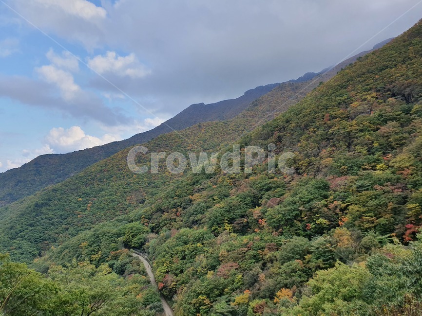 옥외,자연,산,등산,가을,자연,풍경,nature,landscape