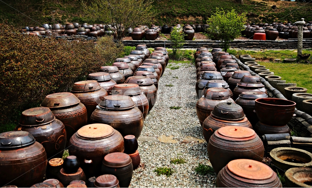 명제고택,윤증,논산,장독대,항아리,한국전통,한국문화,korean traditional,korean culture