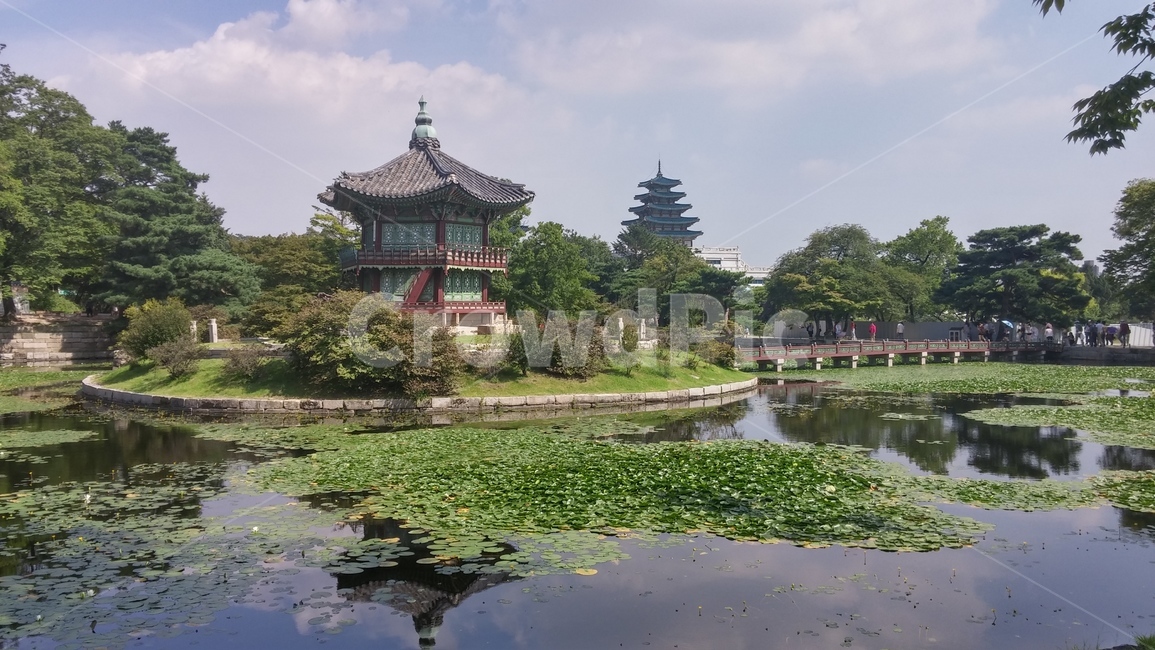 경복궁,나무,하늘,맑음,역사,한국전통,한국문화,korean traditional,korean culture,랜드마크,landmark,tourist attraction,한국랜드마크,한국관광지,한국명소,korea landmark,korea tourist attraction