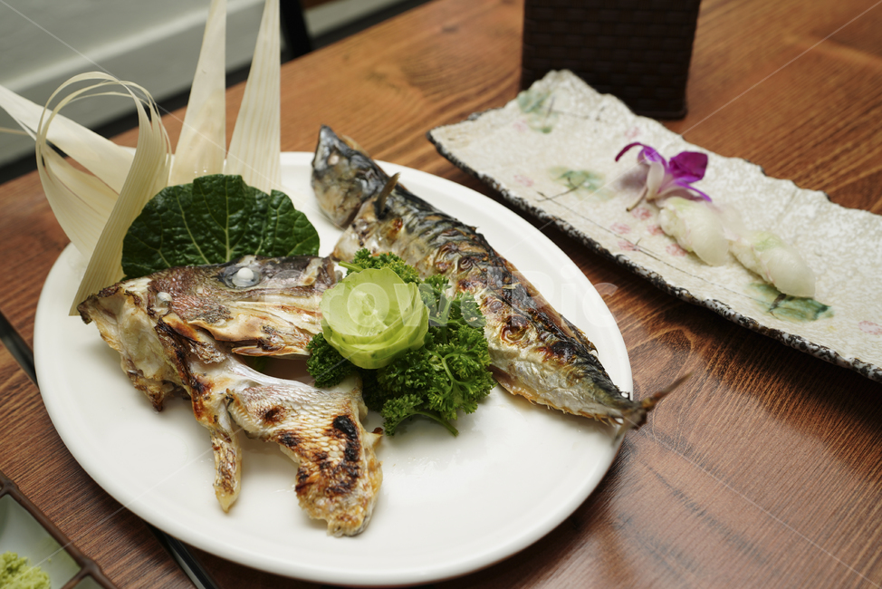 생선,음식,푸드,food,fish,술안주,안주,먹거리,접시,구이,음식,식재료,요리,food,cook,meal,dishes,food reserves,수산물,해산물,fishery products,seafood,일식,일본음식,일본요리,Japanese food,Japanese dishes,Japanese meal,Japanese cook
