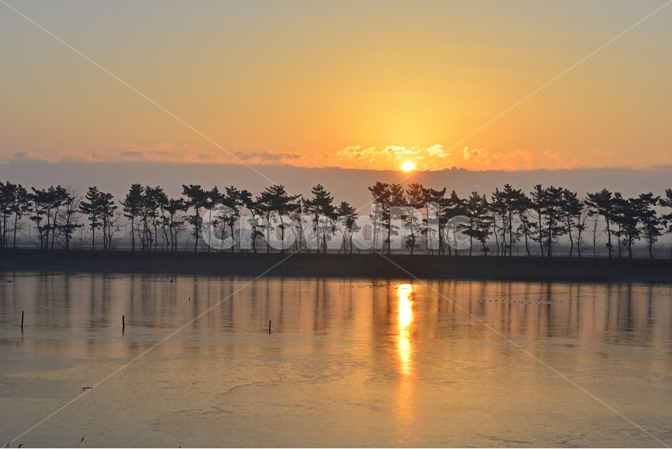 nature,자연,outdoors,옥외,부안,개화도,개화도일출,아침,일출,해돋이,여명,소나무,반영