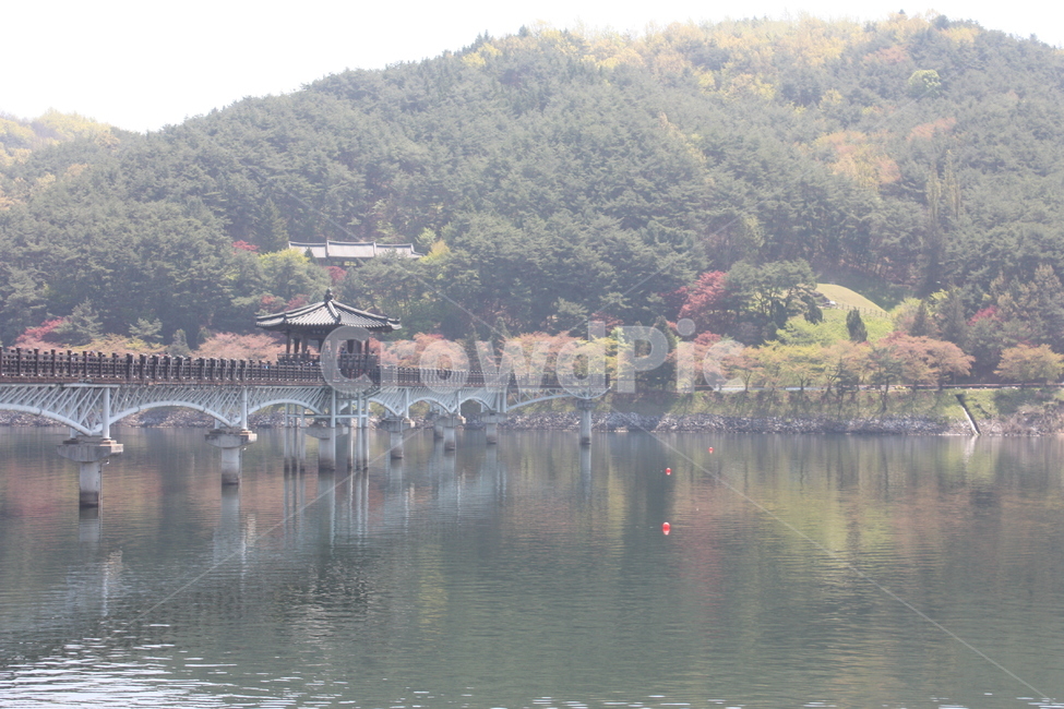 안동,월영교,안동월령교,다리,자연,가을,계절,fall,autumn,season,자연,풍경,nature,landscape,한국자연풍경,한국자연경관,korea nature landscape