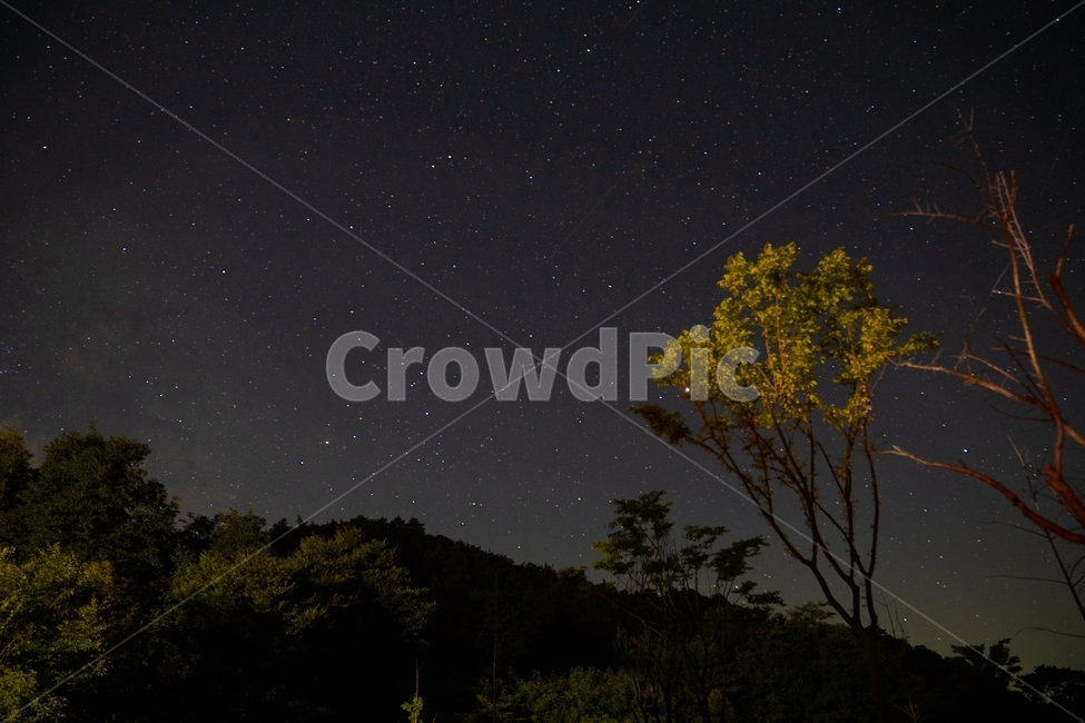 별,은하수,밤,야경,밤풍경,야간,자연,여름밤,자연,풍경,nature,landscape,야경,밤,nightscape,night,outdoors,옥외