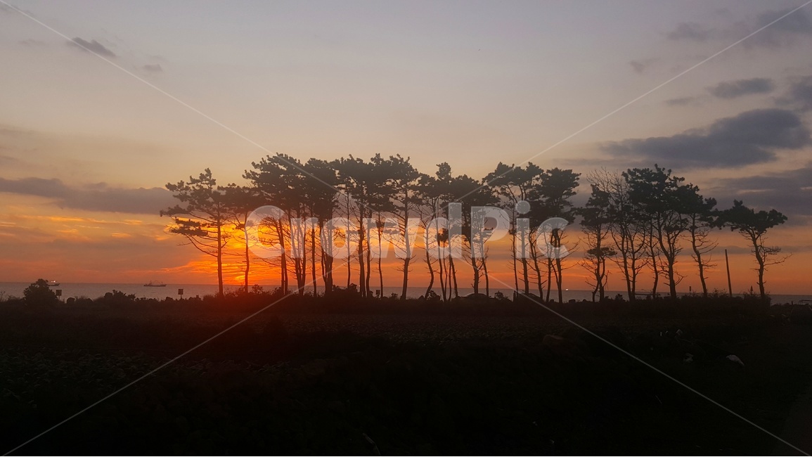 노을,풍경,감성,제주,제주풍경,하늘,구름,자연,바다,파도,자연,풍경,nature,landscape,outdoors,옥외,sky,dawn,새벽,red sky,붉은 하늘,dusk,황혼,sunset,일몰