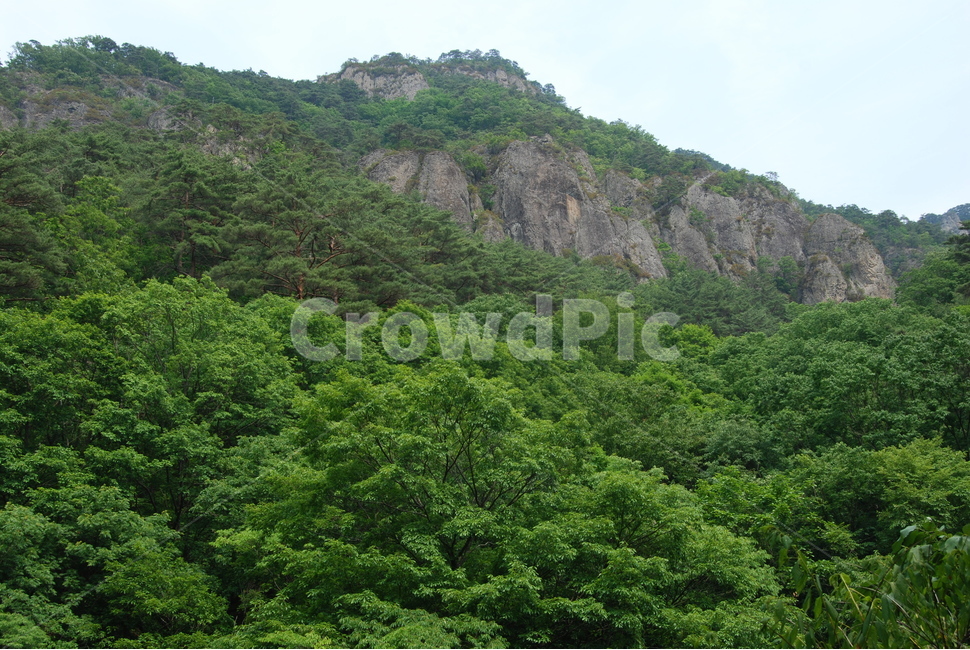 산,나무,tree,nature,trail,자연,풍경,nature,landscape,outdoors,옥외