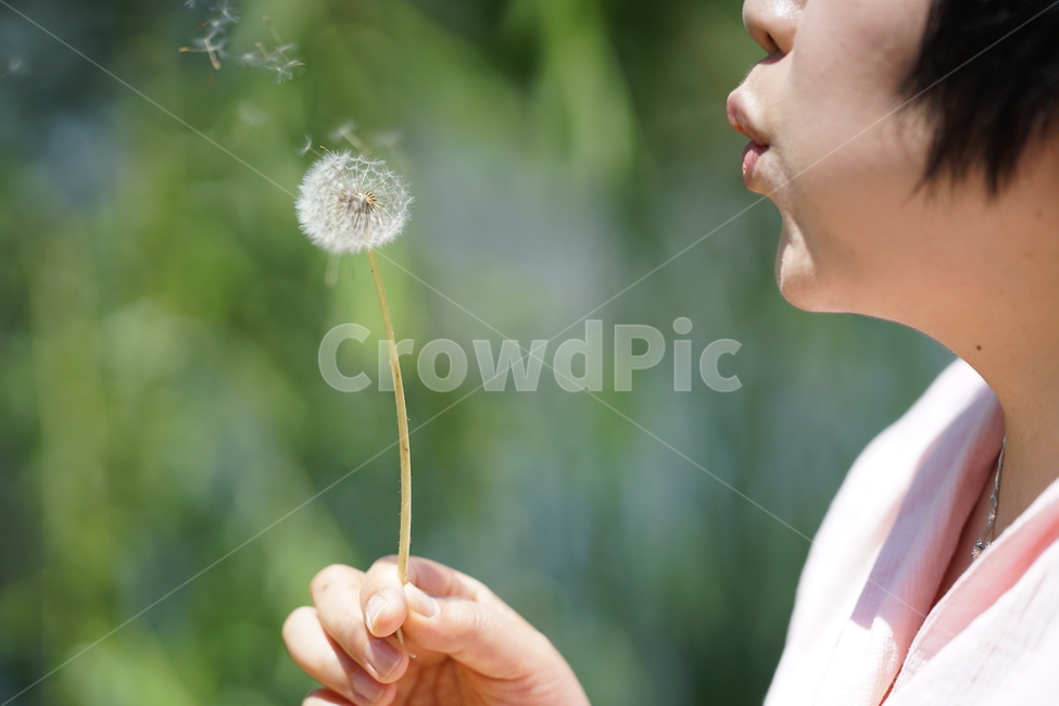 민들레씨,씨앗,감성사진,순간포착,씨,인물,식물,생명,접사,감성,감성샷,식물,자연,plants,nature,사람,인물,인간,human,person,신체일부,몸,body,감성,sensible,feeling