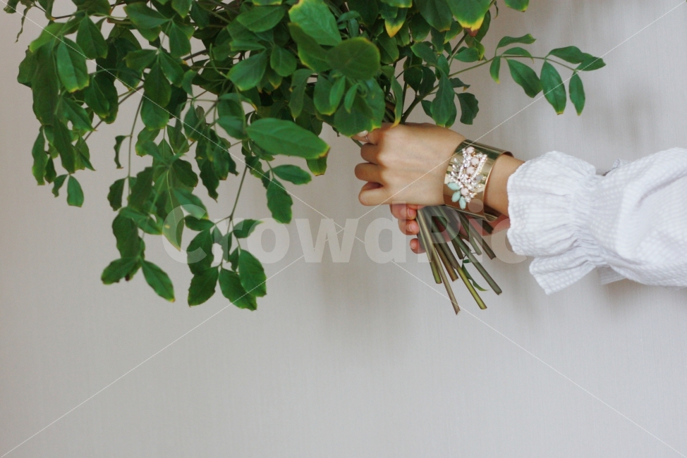 감성,꽃다발,플로리스트,식물,잎,식물,자연,plants,nature,사람,인물,인간,human,person