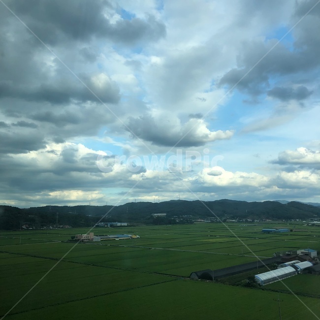 nature,자연,outdoors,옥외,grassland,목초지,field,들,날씨,먹먹한구름,맑은구름