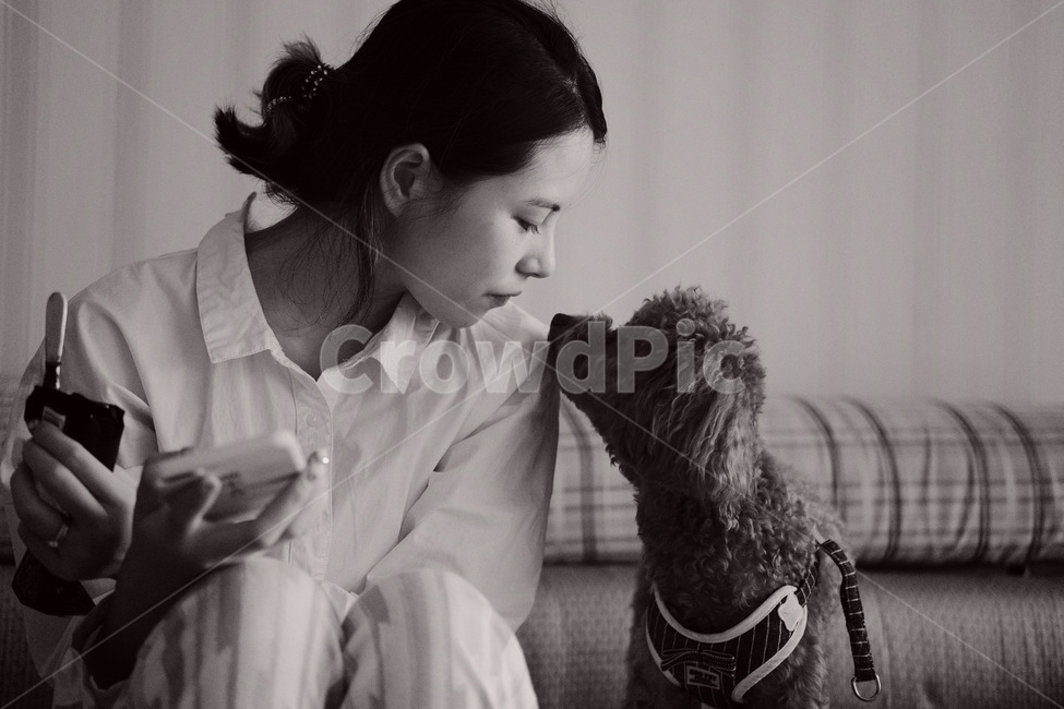 강아지,행복,애완동물,푸들,애견,간식,동물,animal,포유류,mammal,개,강아지,dog,doggy,사람,인물,인간,human,person,여성,여자,woman,female,lady,감성,sensible,feeling,흑백,모노톤,monochrome,black and white