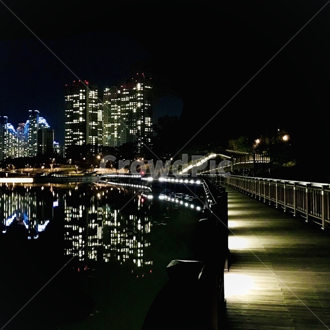 야경,공원,다리,건물,조명,호수,광교,용인,물,난간,water,handrail,풍경,경치
