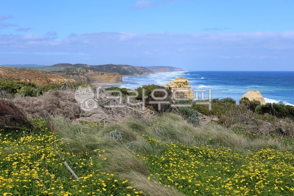 호주관광지,그레이트오션로드,해안선,바다,자연,grassland