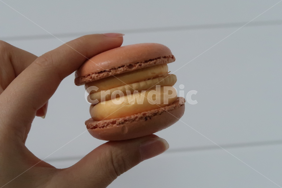 마카롱,디저트,후식,뚱카롱,케이크