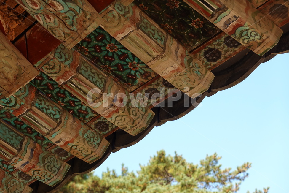 단청,가을하늘,소나무,지붕,하늘,한국전통,한국문화,korean traditional,korean culture,건축물,건물외관,exterior,building,structure,architecture,construction