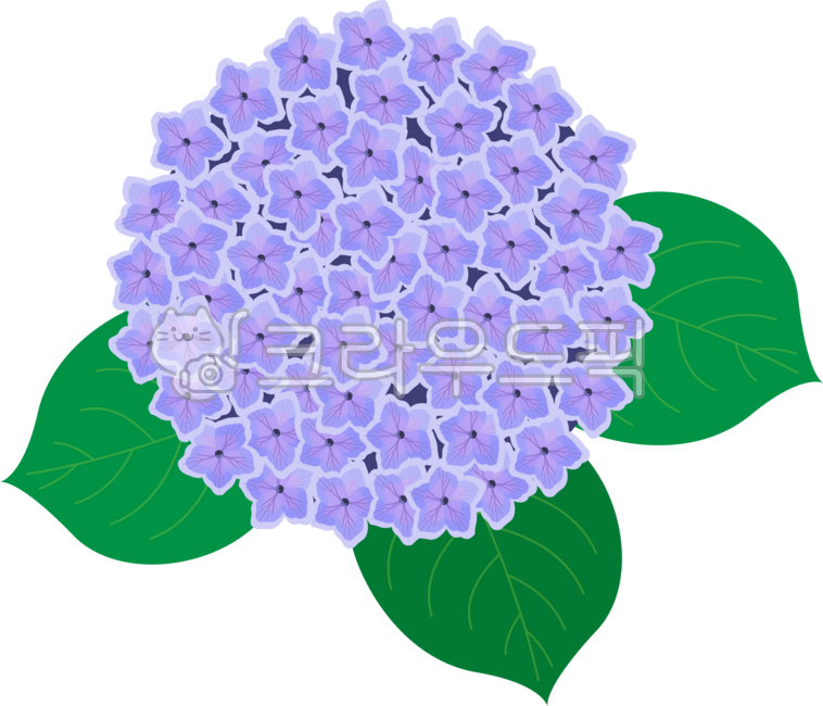 Hydrangea,hydrangea flower,flower decoration,illustration flower,flower illustration,summer flower,summer,hydrangea festival,flower festival,flower,petal,leaf,plant,nature