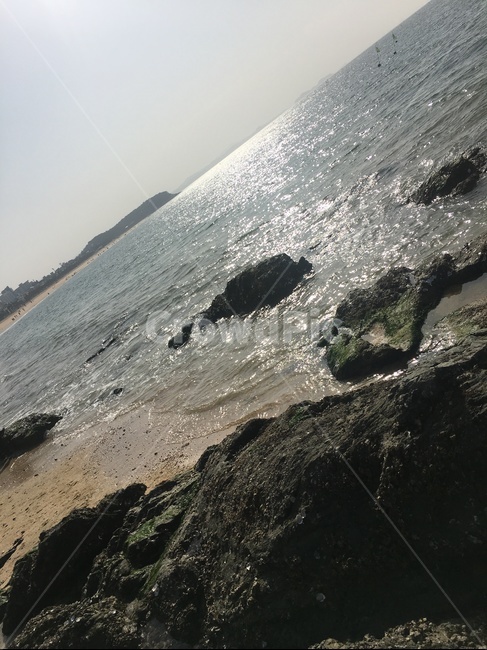 sea,nature,바다,대천해수욕장,해수욕장,겨울바다,가을바다,조개,갈매기,자연,풍경,물
