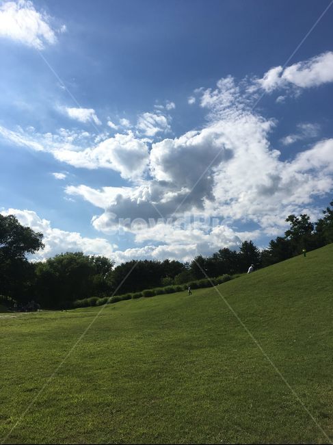 하늘,동산,잔디,나무,풀,구름,올림픽공원,낮,햇빛,화창한,들,자연,풍경,nature,landscape,plant,식물,grass,outdoors,옥외,field