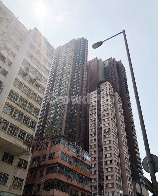 홍콩,town,도시,urban,어반,city,시티,building,건물,highrise,고층건물,officebuilding,local,hongkong,skyscraper