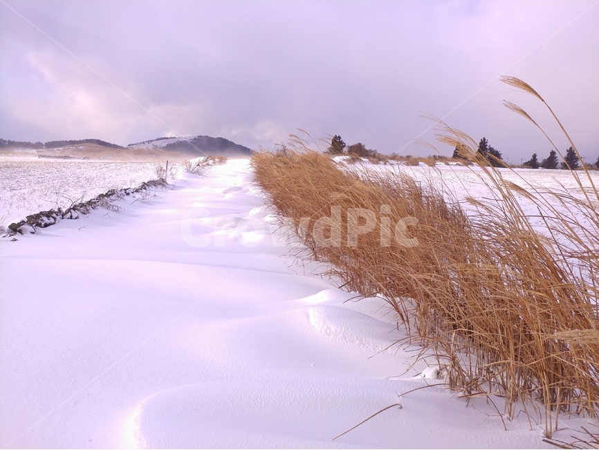 눈,겨울,풍경,감성,제주,제주풍경,하늘,구름,자연,바다,파도,겨울,계절,winter,season,자연,풍경,nature,landscape,outdoors,옥외