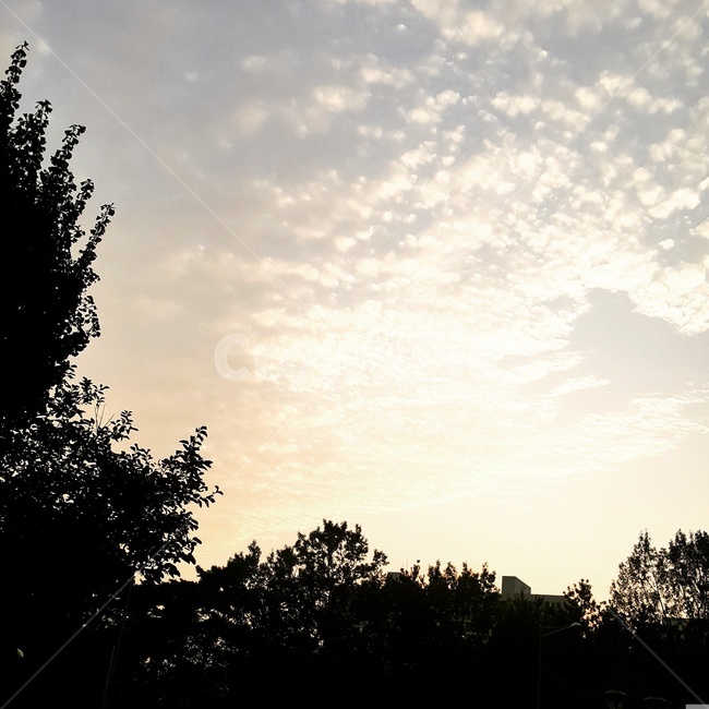 구름,노을,저녁,하늘,빛,맑은날,자연,풍경,nature,landscape,silhouette,실루엣,sunlight,햇빛