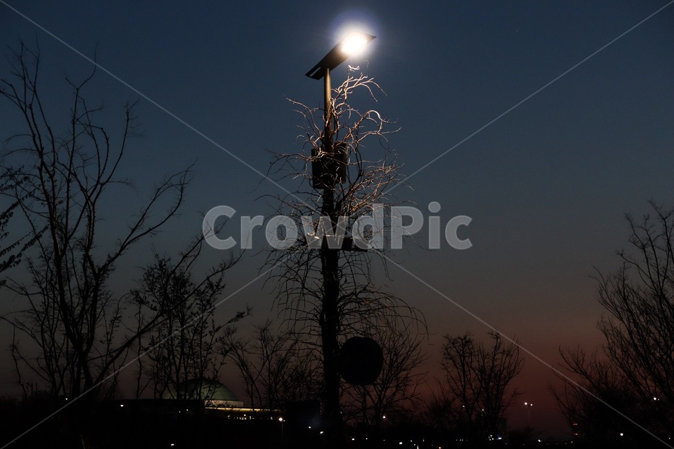 lamppost,램프포스트,황혼,가로등,나무,wood