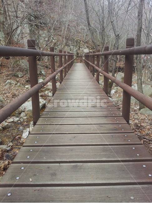 handrail,건물,building,다리,산책로,boardwalk,난간