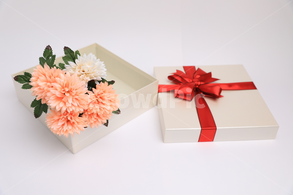 상자,선물상자,꽃,조화,기념일,생일,기프트,아름다운,리본,꽃,flower,기념일,축하,anniversary,congratulation,celebrate,celebration,사물,물건,오브젝트,thing,object,matter,누끼,remove background