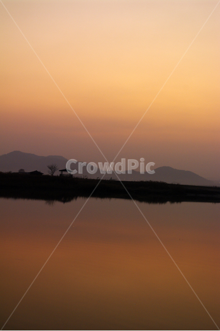 순천만,일몰,노을,풍경,갈대밭,강,하늘,그림자,자연,풍경,nature,landscape,outdoors,옥외