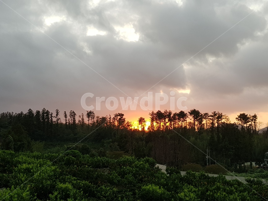 일몰,제주,하늘,구름,나무,썬셋,sunset,석양,노을,저녁,풍경