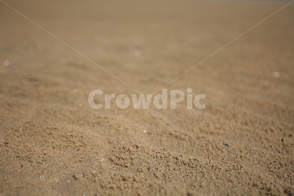 바닷가,모레,황토색,물자욱,포커스아웃,sand,자연,풍경,nature,landscape,해변,바다,beach,sea,모래,outdoors,옥외