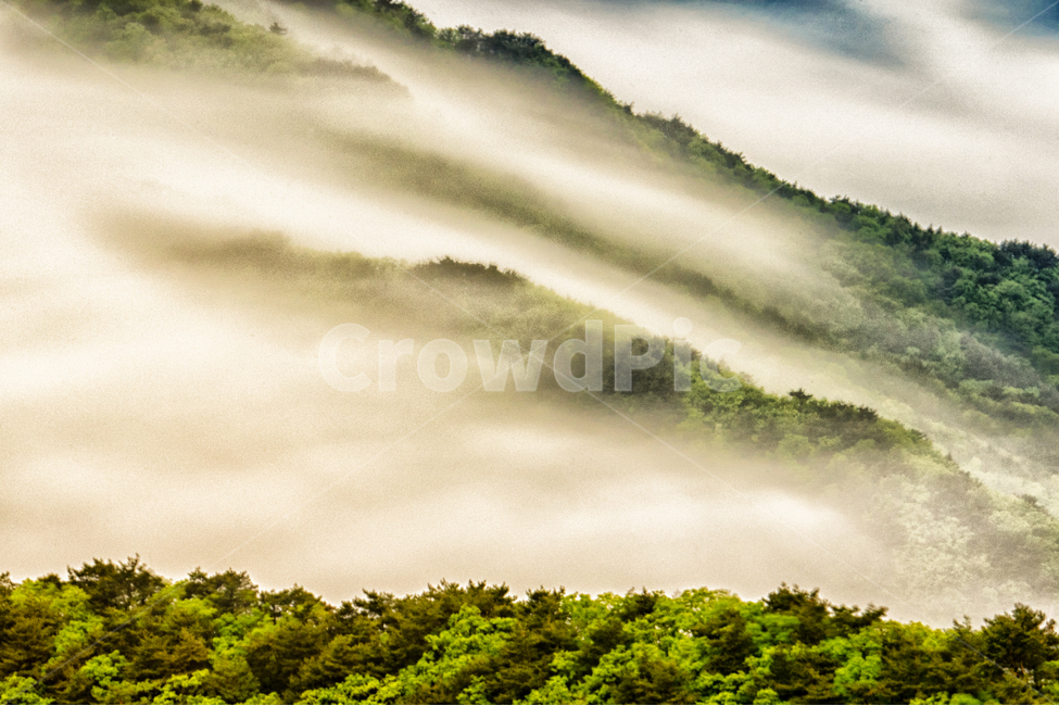 운해,봄,오도산,휴식,신록,자연,풍경,nature,landscape,한국자연풍경,한국자연경관,korea nature landscape,weather,날씨,outdoors,옥외