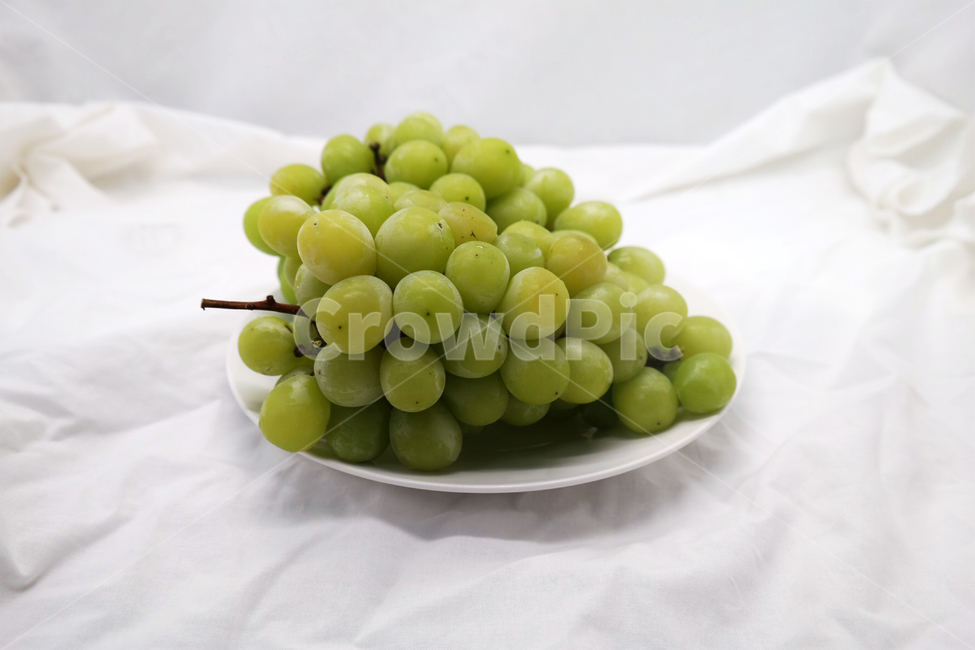 포도,grape,fruit,과일,머스켓,청포토,muscat,접시,과일,열매,fruit