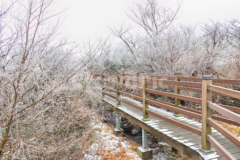 제주도,한라산,1100고지,한라산1100고지,설경,눈꽃,겨울,자연,옥외,눈,nature,outdoors,snow,풍경,겨울풍경,다리,겨울,계절,winter,season