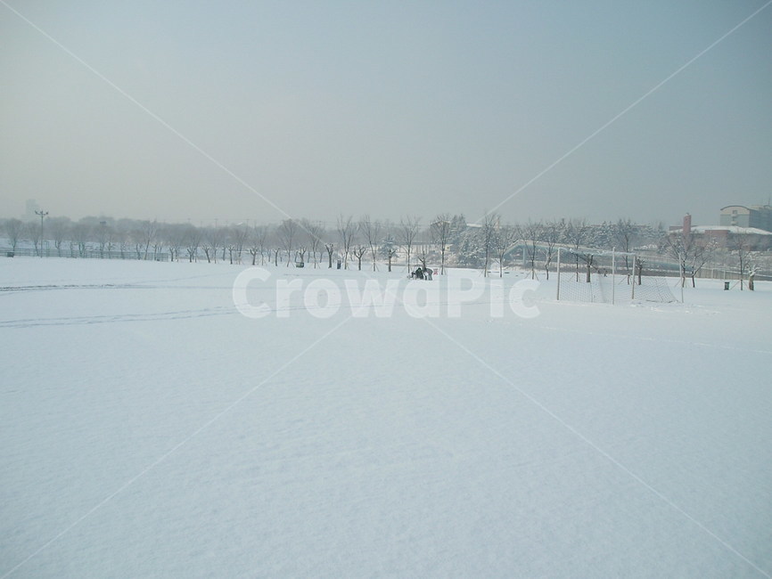 버기카,겨울캠퍼스,눈,자작자동차,겨울눈