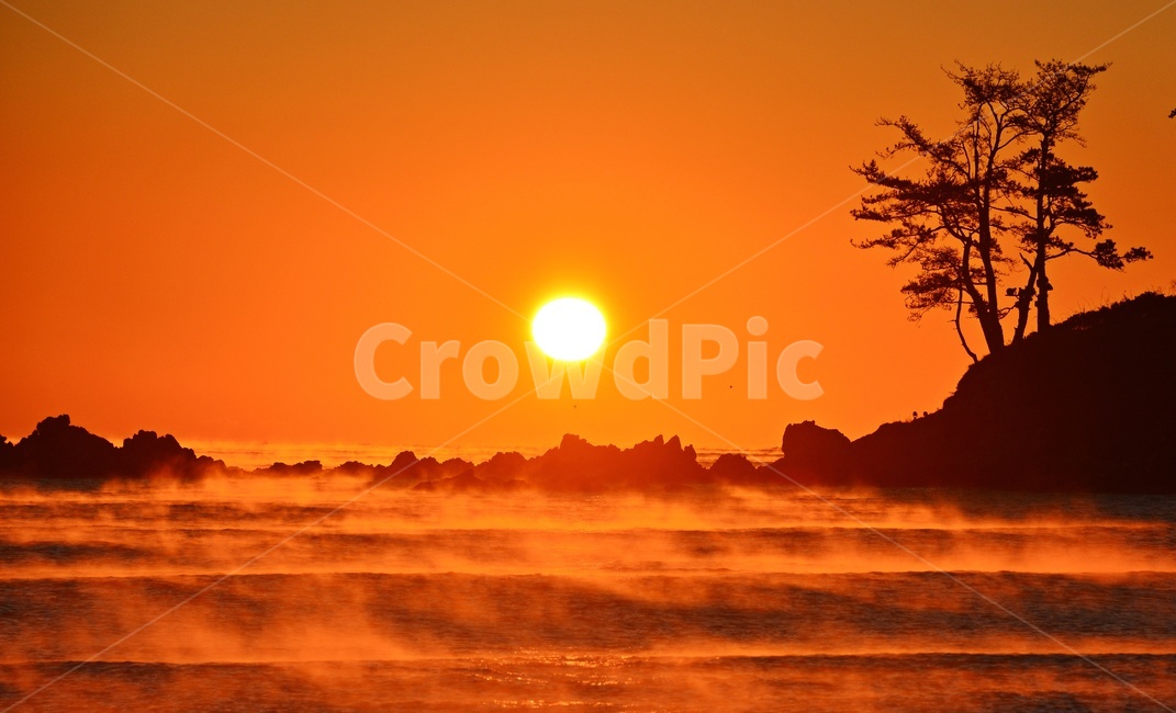 nature,자연,outdoors,옥외,sunlight,햇빛,sky,하늘,dawn,새벽,redsky,붉은하늘,울산,울주,명선도,명선도아침,명선도일출,명선도소나무,오나무,물안개,명선도물안개,자연,풍경,nature,landscape