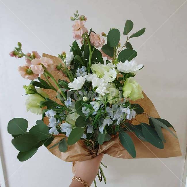 plant,식물,꽃,봄,꽃다발,이벤트,선물,기분전환,향기,flower,present,spring,events