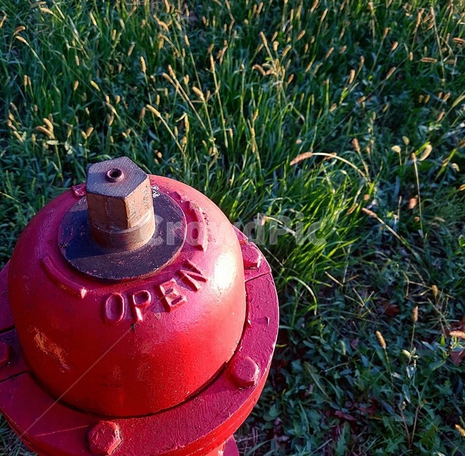 소화기,fireextinguisher,초원,풀,소화전,잔디,grass