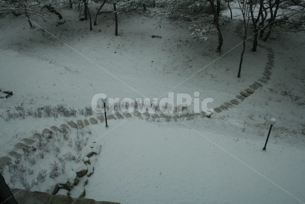 눈,눈이온후,하얀색,마당,겨울,돌다리,겨울,계절,winter,season,자연,풍경,nature,landscape,storm,폭풍,outdoors,옥외,snow,blizzard,눈보라