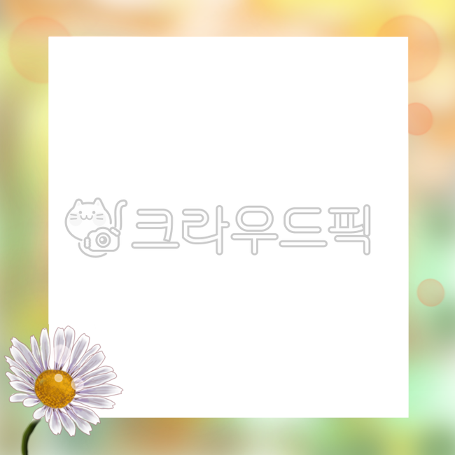 꽃,꽃액자,꽃테두리,구절초,꽃배경