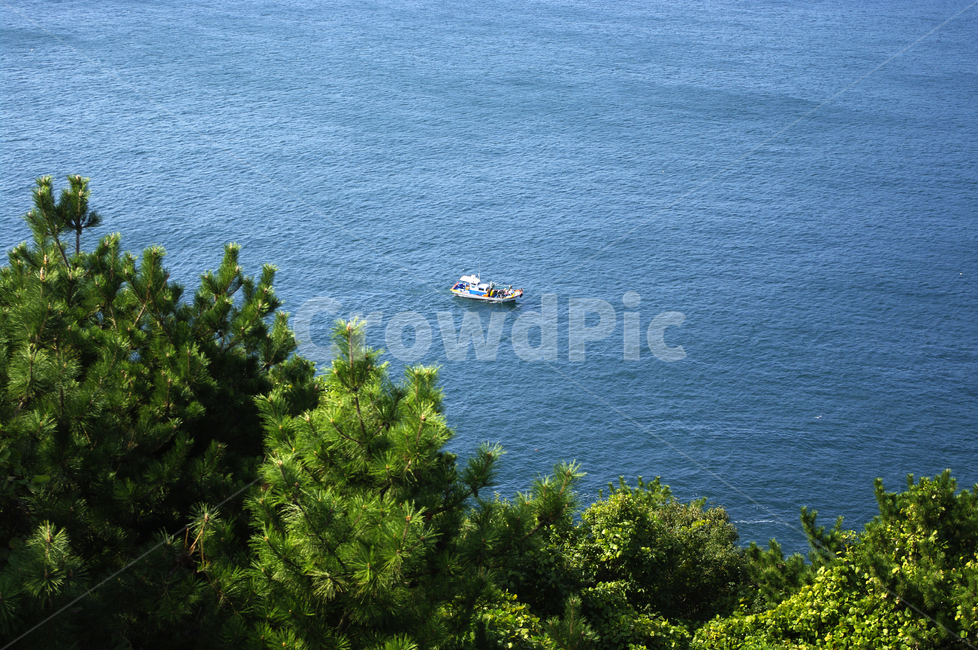 바다,나무,어선,배,풍경,자연,풍경,nature,landscape,vehicle,차량,boat,보트,transportation,교통