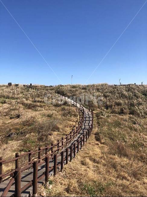 제주,jeju,닭머르해안길,풍경,가을,산책로,제주도,jeju,jeju island