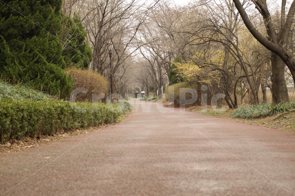 자연,풍경,나무,길,산책,산책로,파크뷰,아파트,nature,tree,road,walk,waikingtrails,apartment,자연,풍경,nature,landscape,asphalt,아스팔트,도로,plant,식물