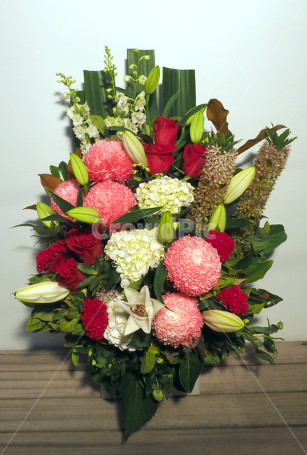 꽃,포장,발렌타인데이,사랑,러브,선물,꽃,flower