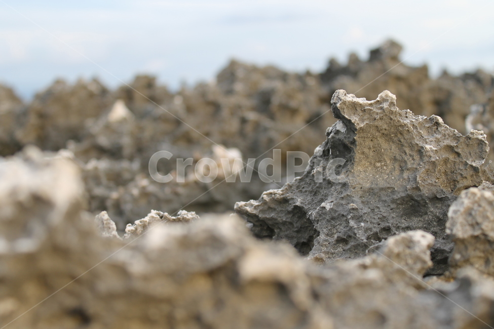 인도네시아,발리,누사두아,화산암,바위,현무암,indonesia,bali,nusadua,volcanicrock,basalt,rocks